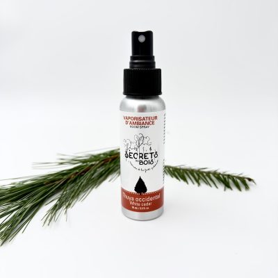 <em>Vaporisateur d'ambiance</em><br>Thuya